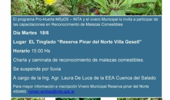 TALLER DE MALEZAS COMESTIBLES